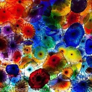 Meet your Posher, Okjin